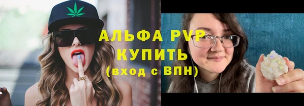 a pvp Ростов