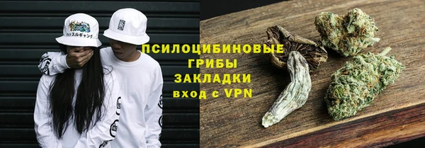 PSILOCYBIN Рославль