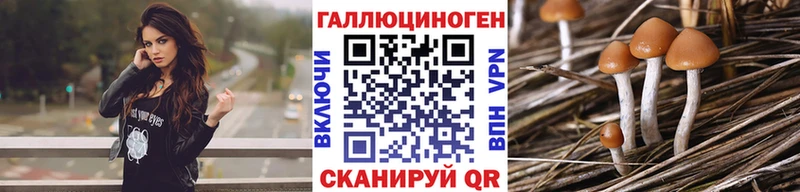 blacksprut   shop как зайти  Галлюциногенные грибы Psilocybe  Чишмы 